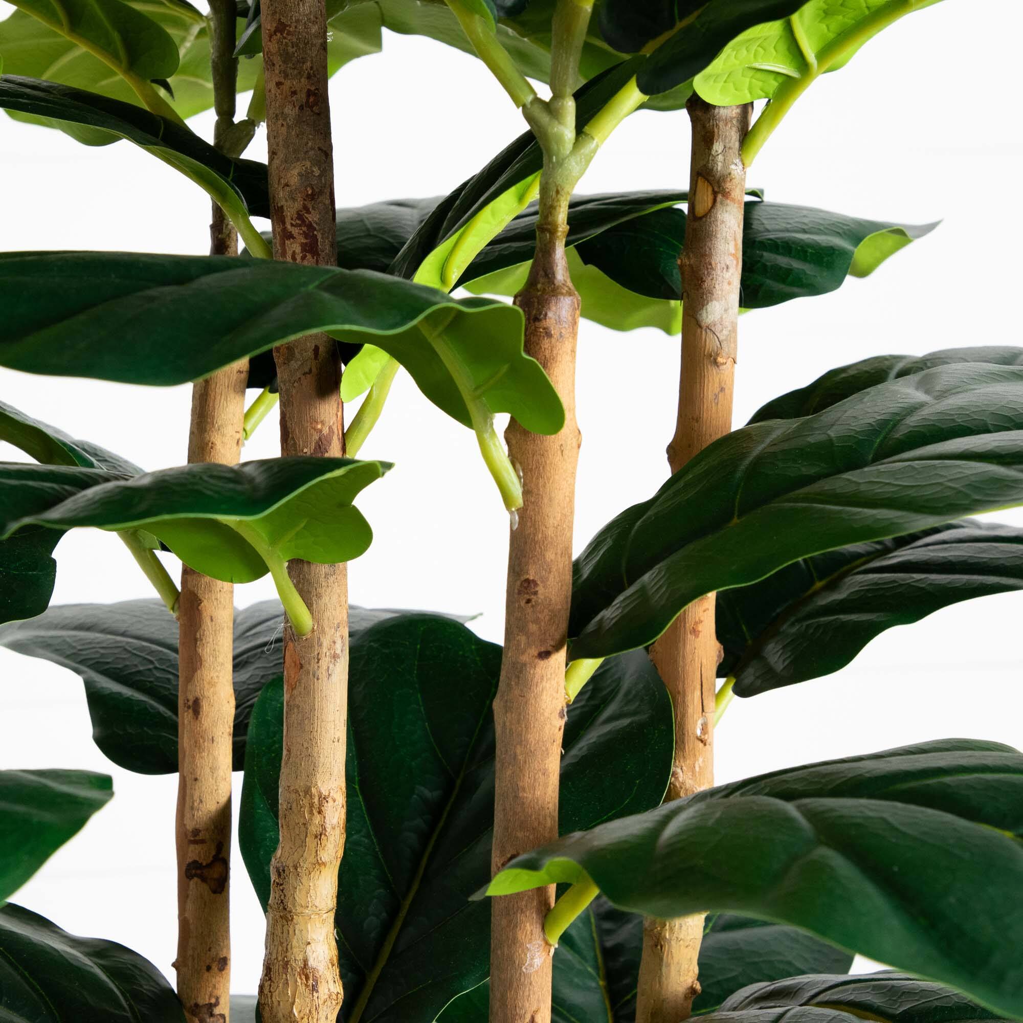 7ft. Fiddle Leaf Tree in Decorative White Planter